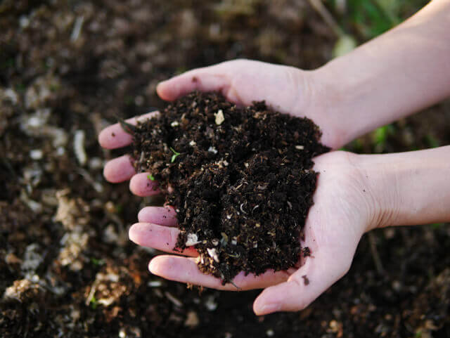 人もりんごも喜ぶ手しごと